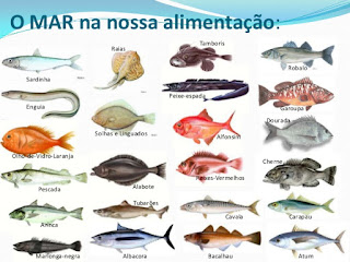 http://www.sobiologia.com.br/conteudos/Reinos3/Peixes.php