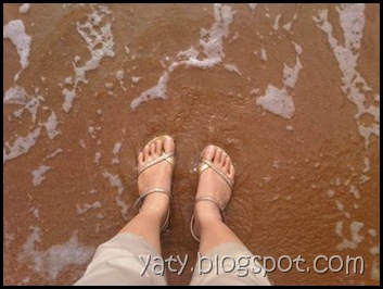 IMG01858-20101231-1612