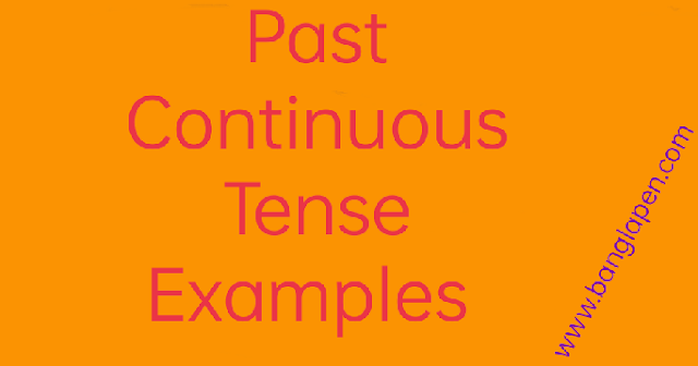 past continuous tense examples