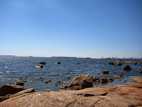 meri kotka