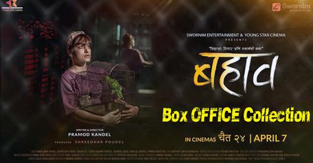 Bahaab Box Office Collection