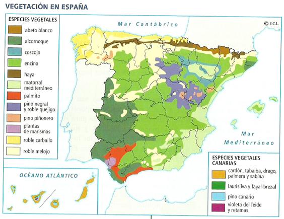 Resultado de imagen de MAPA FORMACIONES VEGETALES ESPAÑA