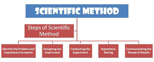 steps-of-scientific-method