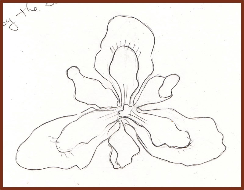 Weekly : Doodles and tuts: How to draw an Iris flower ...