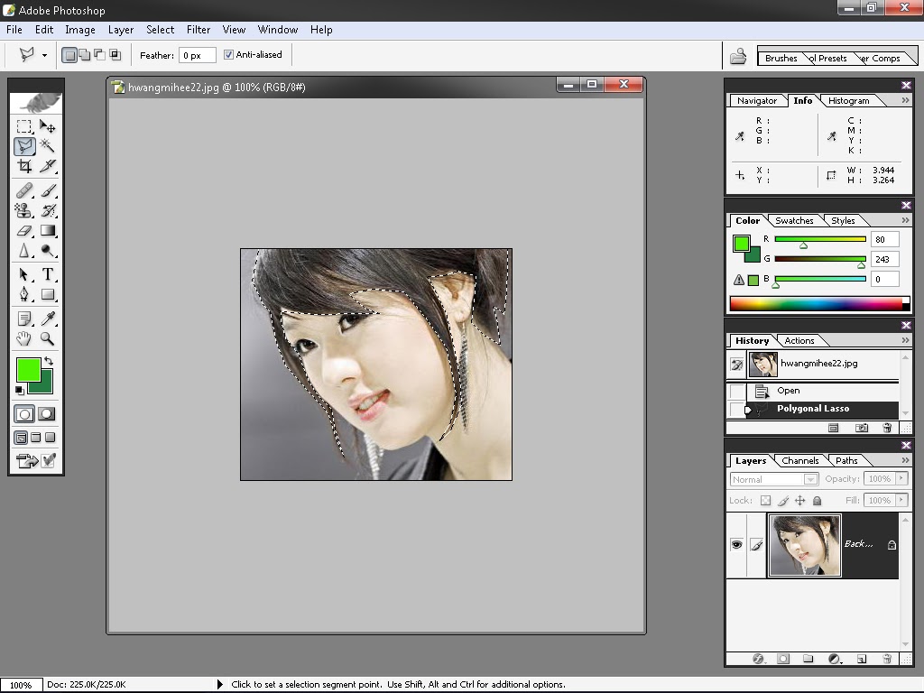 Mewarnai Gambar Dengan Photoshop