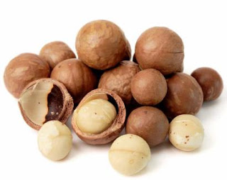 Image result for kacang macadamia