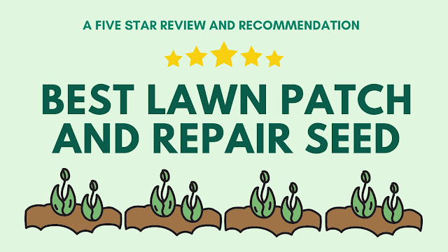 Revitalize Your Lawn with Scott's EZ Seed Lawn Patch and Repair - A Five Star Review