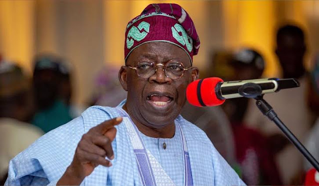 President Tinubu Expresses Satisfaction as Policies Bear Fruit with Positive Results