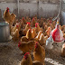 FORGET PANDEMIC PUPPIES. MEET INFLATION CHICKEN. / THE NEW YORK TIMES