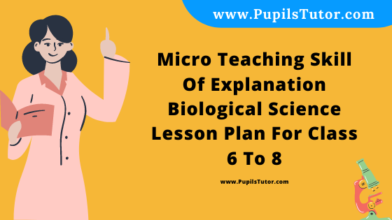 Free Download PDF Of Micro Teaching Skill Of Explanation Biological Science Lesson Plan For Class 6 To 8 On Living And Non-Living Things Topic For B.Ed 1st 2nd Year/Sem, DELED, BTC, M.Ed In English. - www.pupilstutor.com