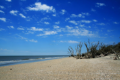 beach at botany bay south carolina