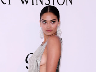 Shanina Shaik at the AmfAR’s 24th Cinema 