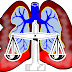 Mesothelioma lawyers and Attorney at Law Firm
