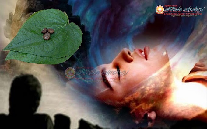 கனவில்  வெற்றிலையை கண்டால் என்ன பலன்...