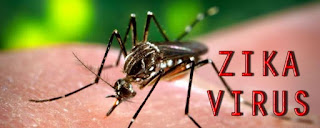  Zika Virus