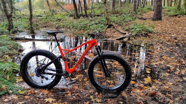 Silverback Synergy Fat Bike