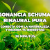 Resonancia Schumann Binaural Pura: Conecta con la Naturaleza y Mejora tu Bienestar / 30 Minutos