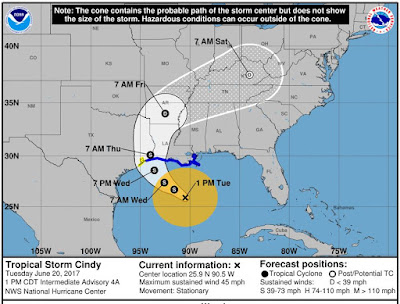 http://www.nhc.noaa.gov/refresh/graphics_at3+shtml/173424.shtml?cone#contents