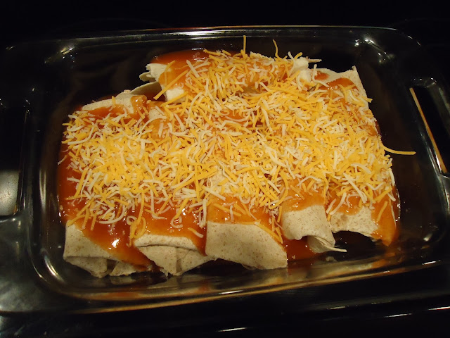 salsa chicken enchiladas, chicken enchiladas, dinner recipe, recipe, enchiladas, quick dinner, fast dinner, Mexican dinner recipe, salsa recipe