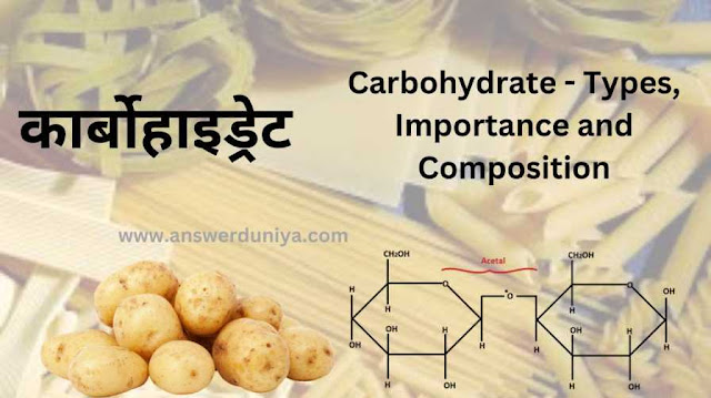 carbohydrate in hindi