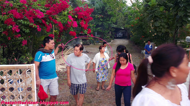 Maya Hills Garden & Tree House, Bohol