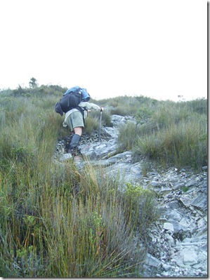 ironbound_ranges_south_coast_walk_tasmania