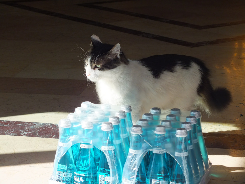 Now that it is getting warmer, I am thinking that there is some money to be made in water sales / Sıcaklar bastırdıkça, bu su işlerinde iyi para olacak derim