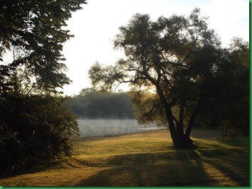 Gifford Pinchot Site B311 (26)