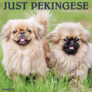 Just Pekingese 2018 Calendar