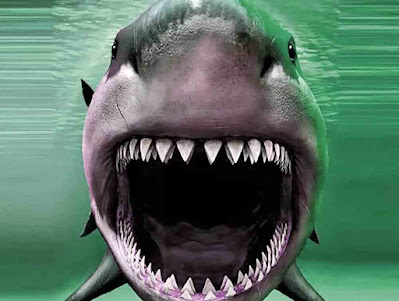 Megalodon Biggest Shark in Sea
