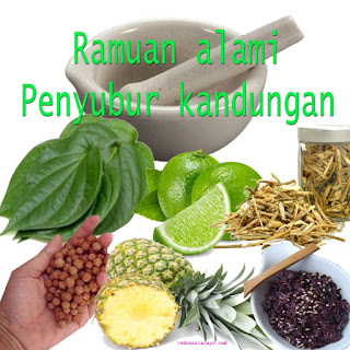 OBAT PENYUBUR KANDUNGAN ALAMI