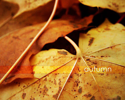 imagini toamna autumn frunze