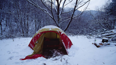 Battling Unlawful Tents: Cheongsan Mountain Struggles with Environmental and Fire Hazards