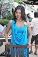 Payal, Ghosh, hot, Thigh, Show, Photo, Shoot, bikini, poolside