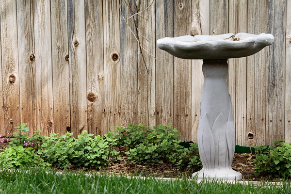 birdbath