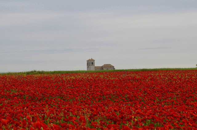 Campo Real y su entorno