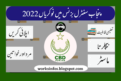 Jobs in Punjab Central Business and the Government in 2022