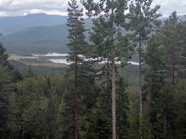 brøgåsen rundt sokna sognevannet