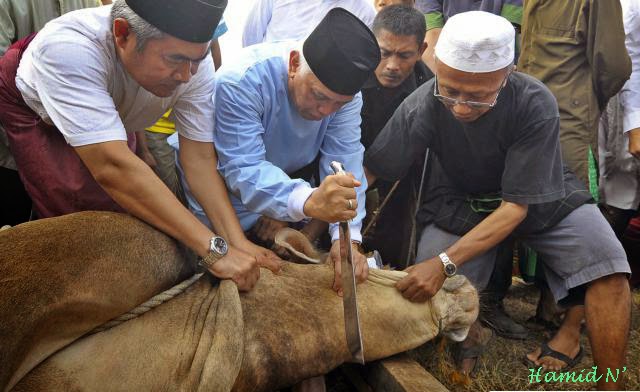 Hamidhan Sunah Sunah Dalam Berkurban