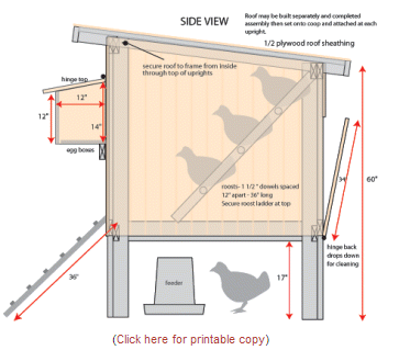 It is designed to hold up to 8 full sized chickens. Perches are ...