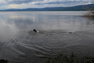 Cariboo Day 5_518