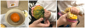 Pumpkin science activities for preschoolers, explore a pumpkin