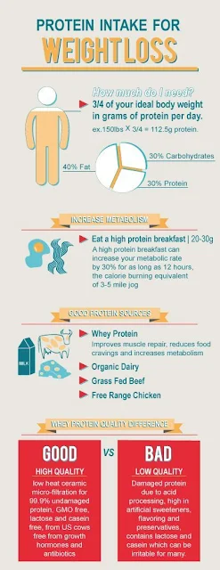 How Much Protein Is Needed To Build Muscle And Lose Fat