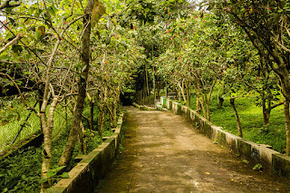 Tempat Wisata di Jember Jawa Timur yang Wajib Dikunjungi 8 Tempat Wisata di Jember Jawa Timur yang Wajib Dikunjungi