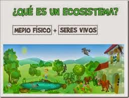 http://catedu.es/chuegos/kono/sexto/t1/eco.swf