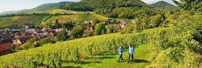 Ferienpark in Deutschland