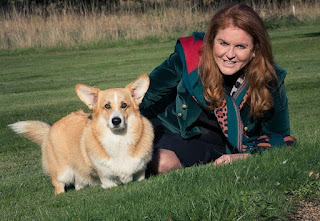 Sarah Duchess of York shares new snaps of the Queen's dogs