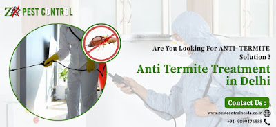 Anti Termite Treatment in Delhi