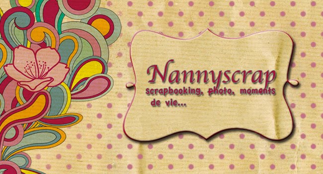 nannyscrap