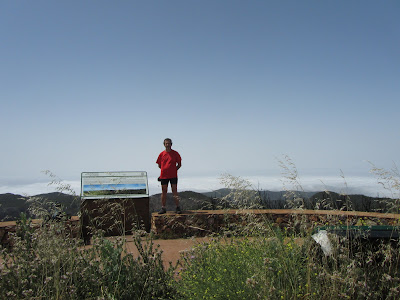 LA GOMERA CHIPUDE - LA FORTALEZA - MIRADOR DE IGUALERO - ALTO GARAJONAY, Alto de Garajonay